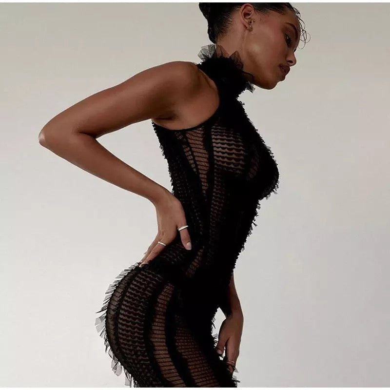 Sheer Bodycon Dress